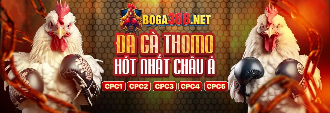 Trường gà chuyên nghiệp phát trực tiếp tại 789o nhà cái